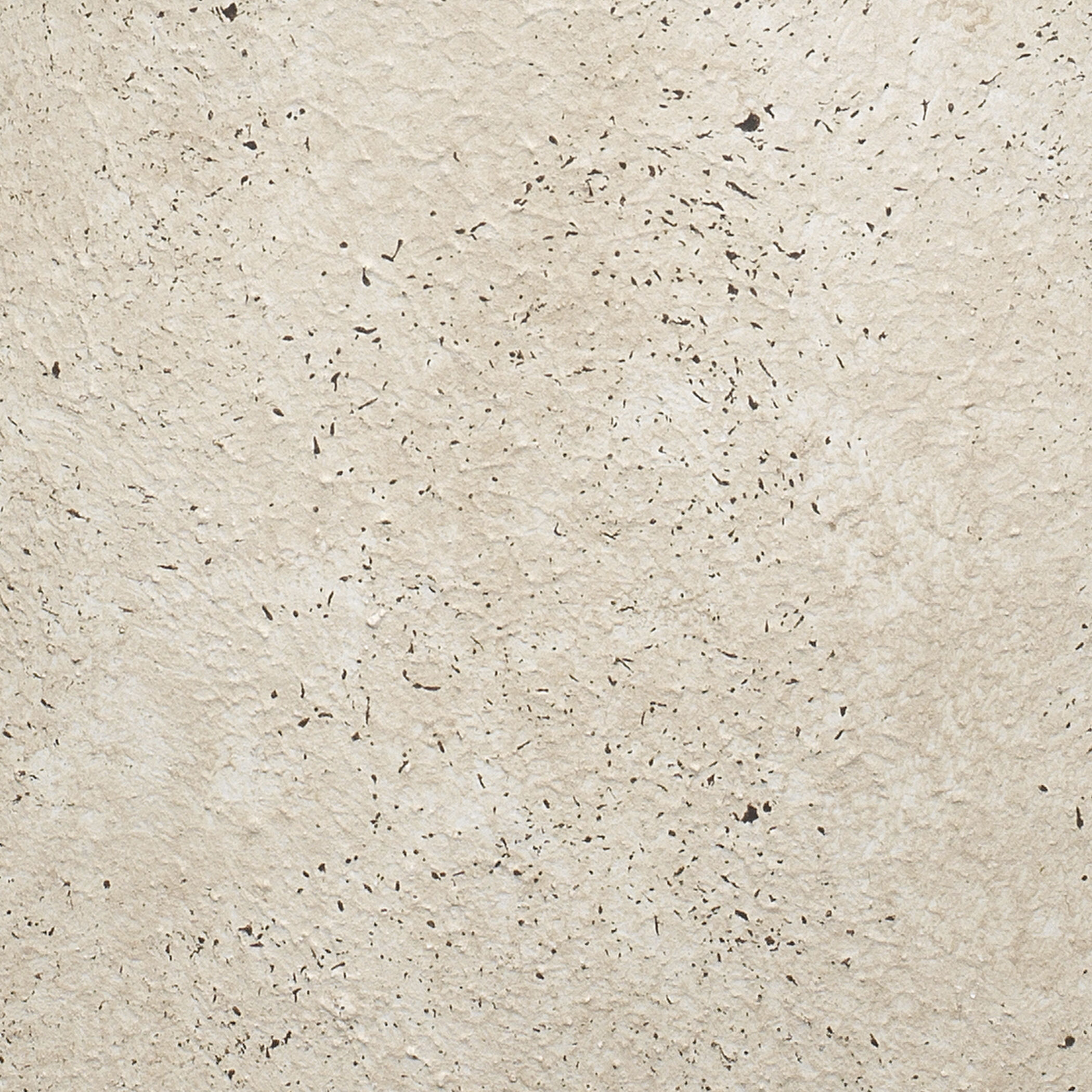 Anatomy 11.75 X 6 inch Vase