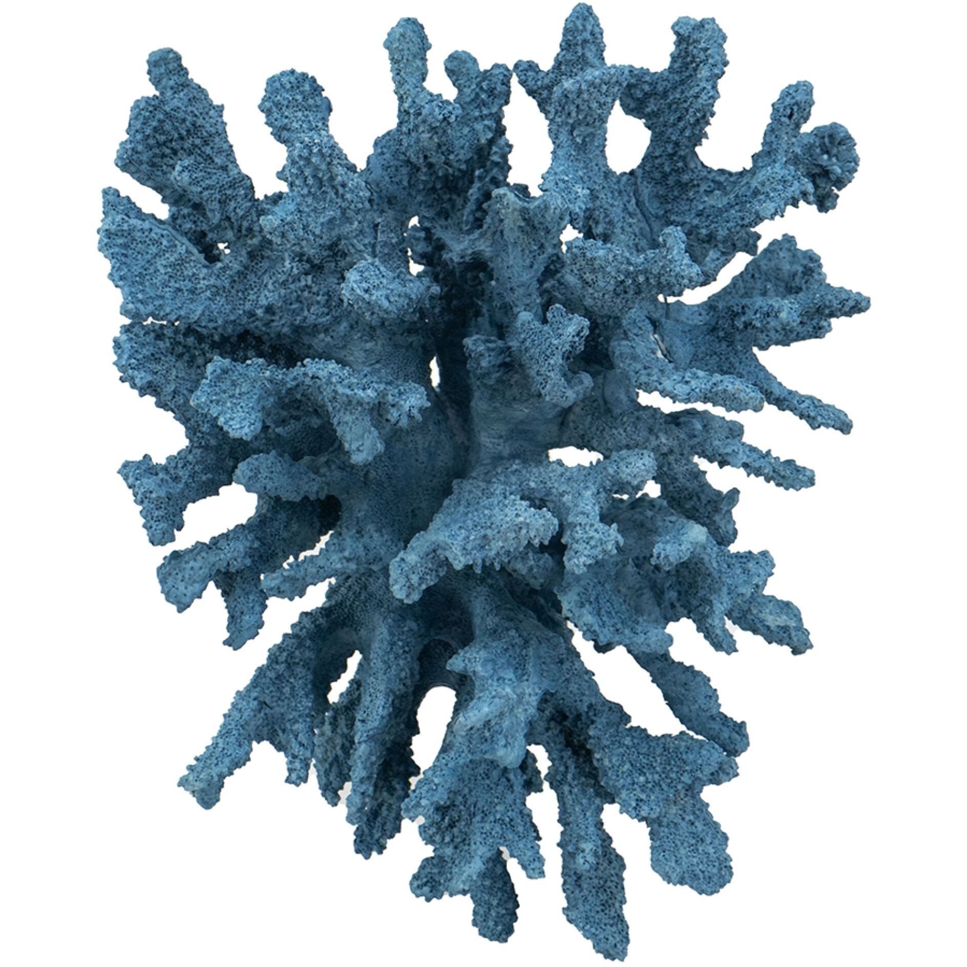 Expansive Blue Décor