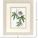 Tropical Botanical I Green and Pink and White Framed Art, Propac