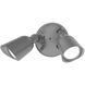 Endurance LED 12.5 inch Graphite Flood Light in 5000K