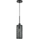 Twinewell 1 Light 5.13 inch Black Mini Pendant Ceiling Light