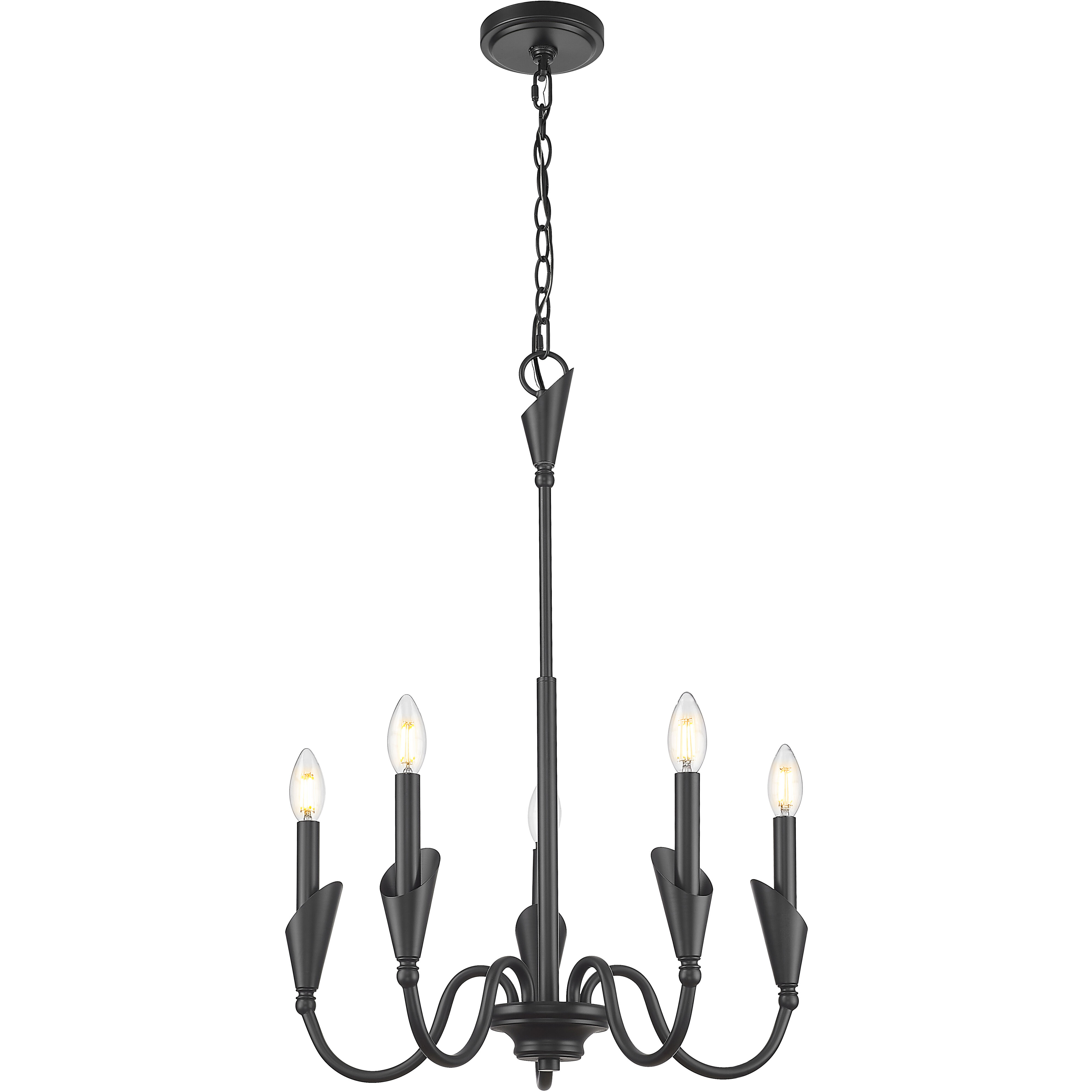 Claudelle 5 Light 24 inch Matte Black Chandelier Ceiling Light