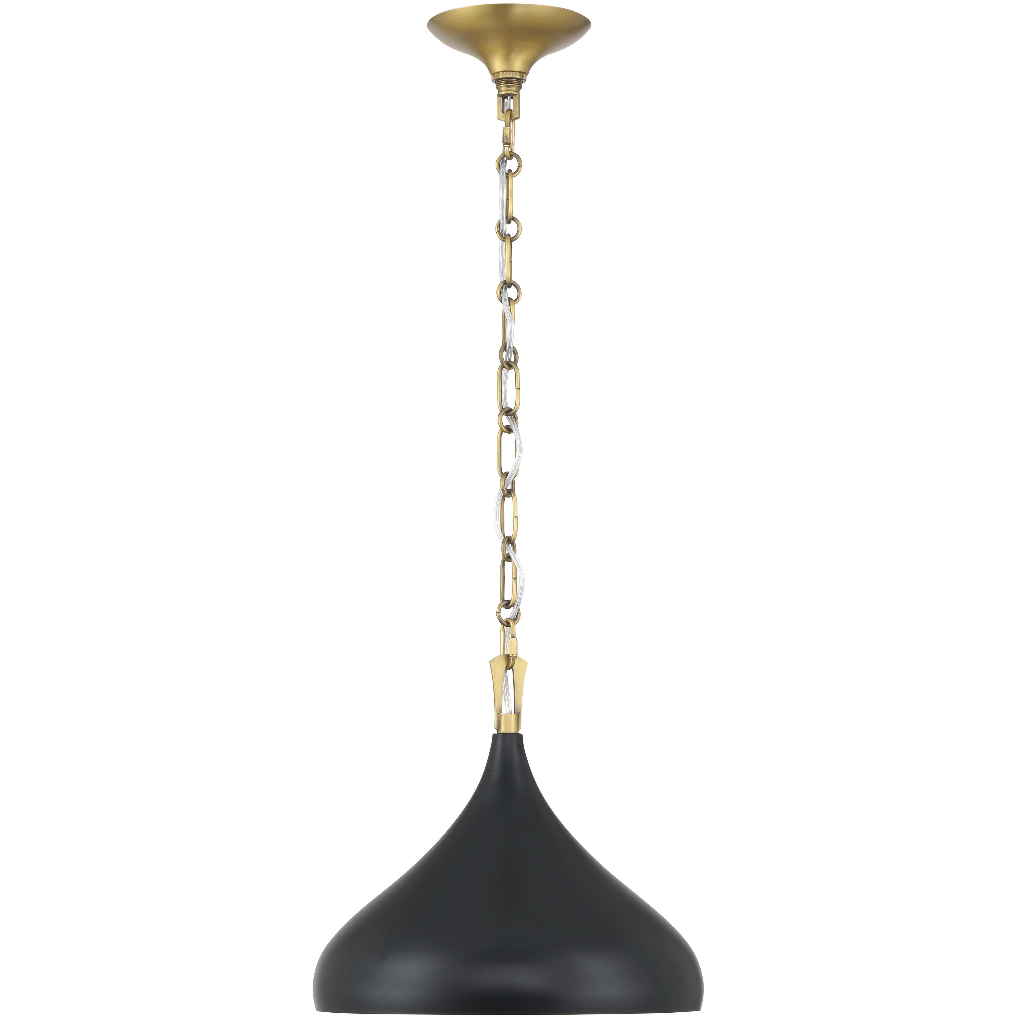 Cedar Lane 1 Light 12.75 inch Legacy Brass and Matte Coal Pendant Ceiling Light