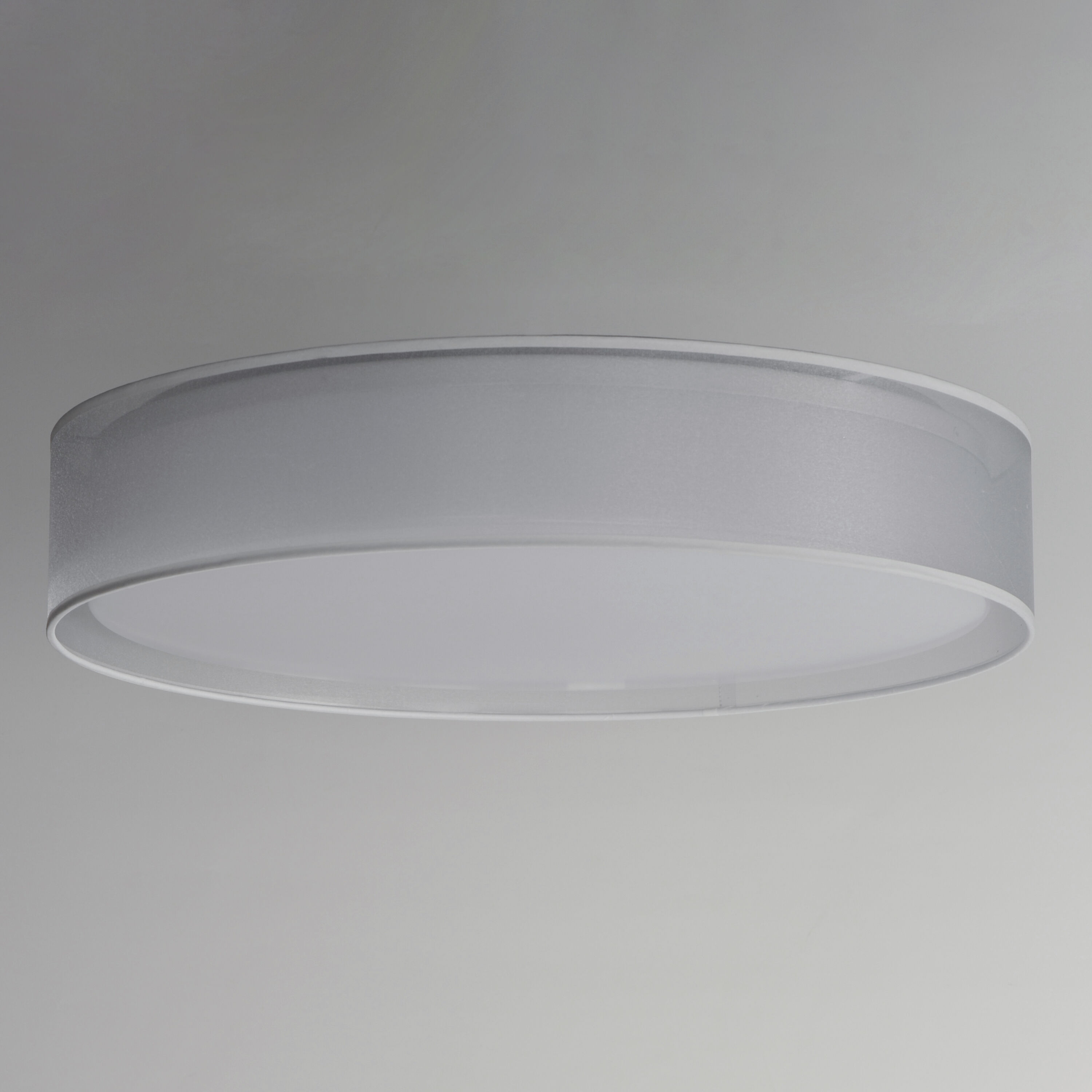Prime LED 25 inch Flush Mount Ceiling Light