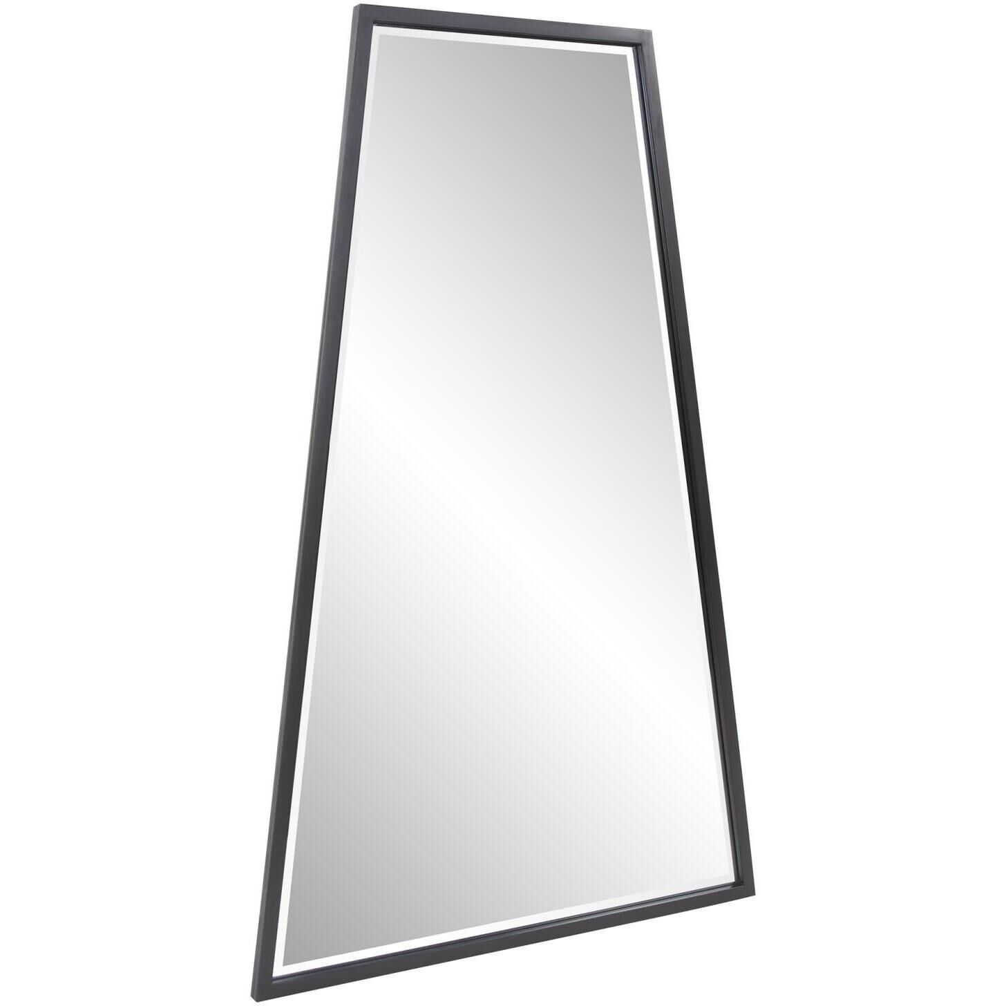 Ezra 47.5 X 30 inch Black Mirror