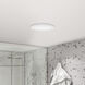 Disc LED 5.5 inch Brushed Steel Flush Mount Ceiling Light