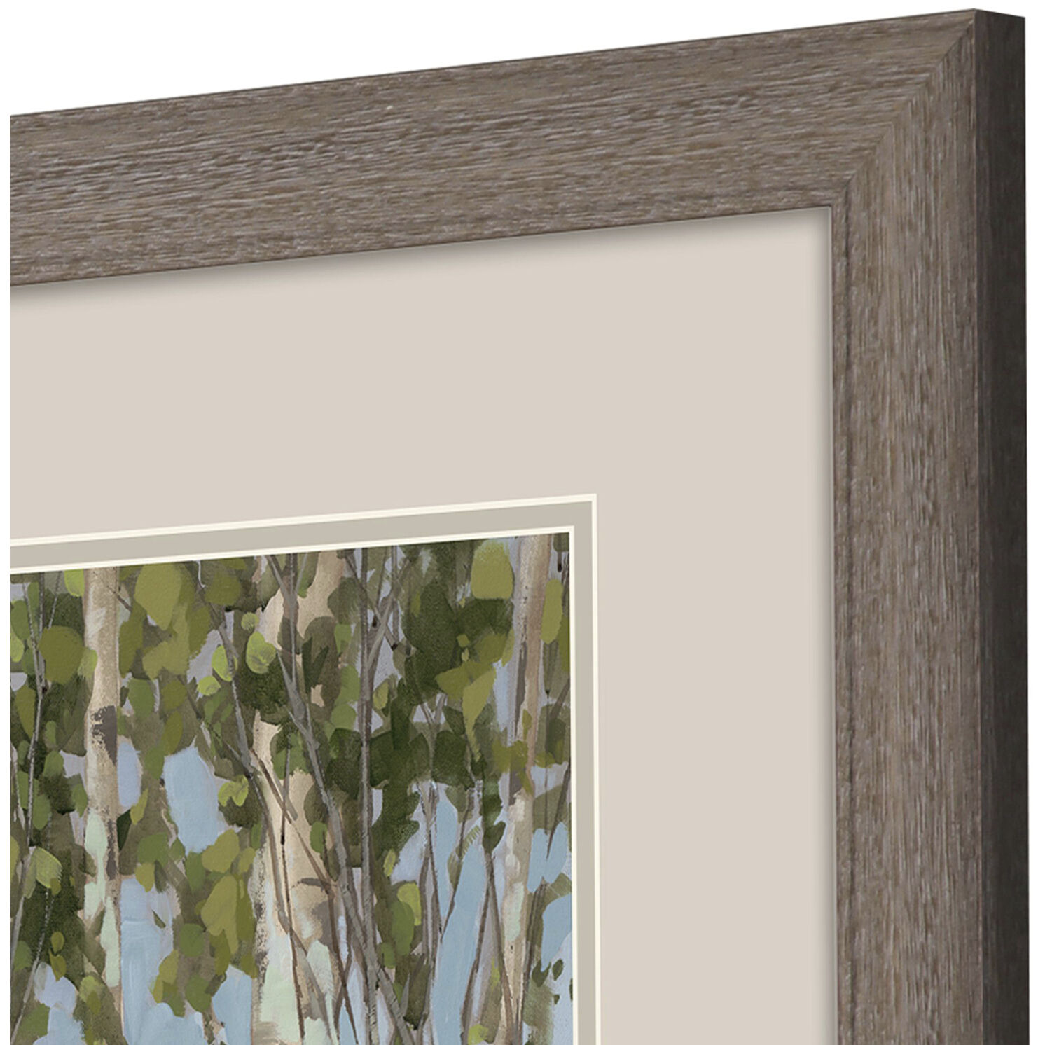 Aspen Spring Green and Brown and Neutral and Multi Framed Art, Propac
