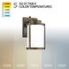 Lantern LED 10 inch Bronze Outdoor Wall Light