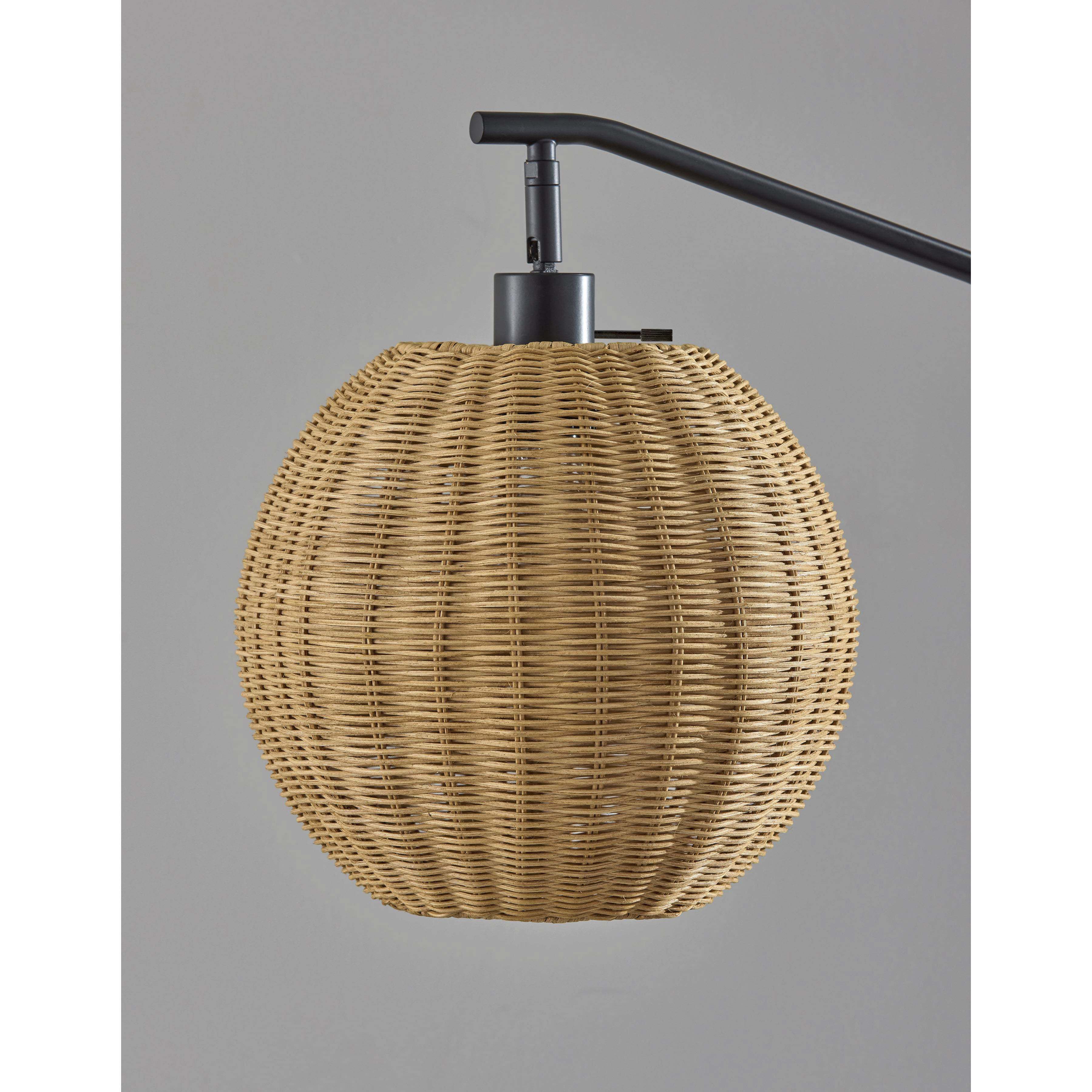 Maeve 60 inch 100.00 watt Black Floor Lamp Portable Light