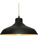 Radiance 1 Light 15.5 inch Carbon Matte Black and Champagne Gold and Matte Black Pendant Ceiling Light