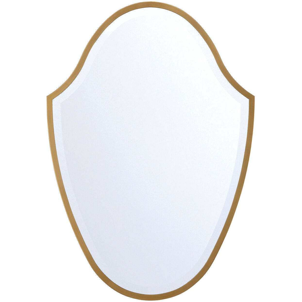 Lindee 40 X 28 inch Antique Gold Mirror