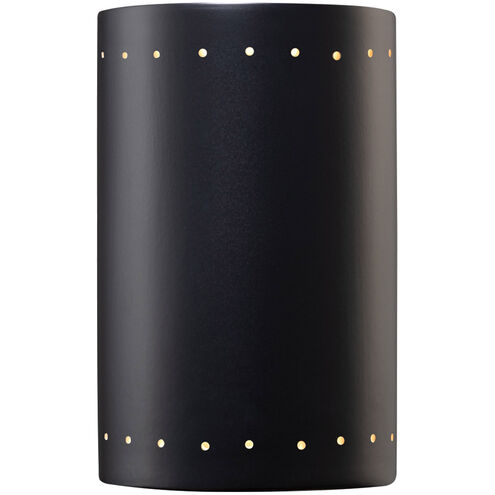 Ambiance Collection LED 12.5 inch Gloss Black Outdoor Wall Sconce