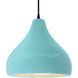 Radiance LED 13.5 inch Reflecting Pool and Matte Black Pendant Ceiling Light