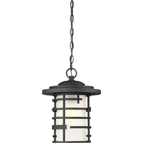 Lansing 1 Light 11 inch Textured Black Outdoor Hanging Lantern