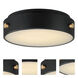 Rivet LED 12 inch Black and Antique Brass Outdoor Flush Mount