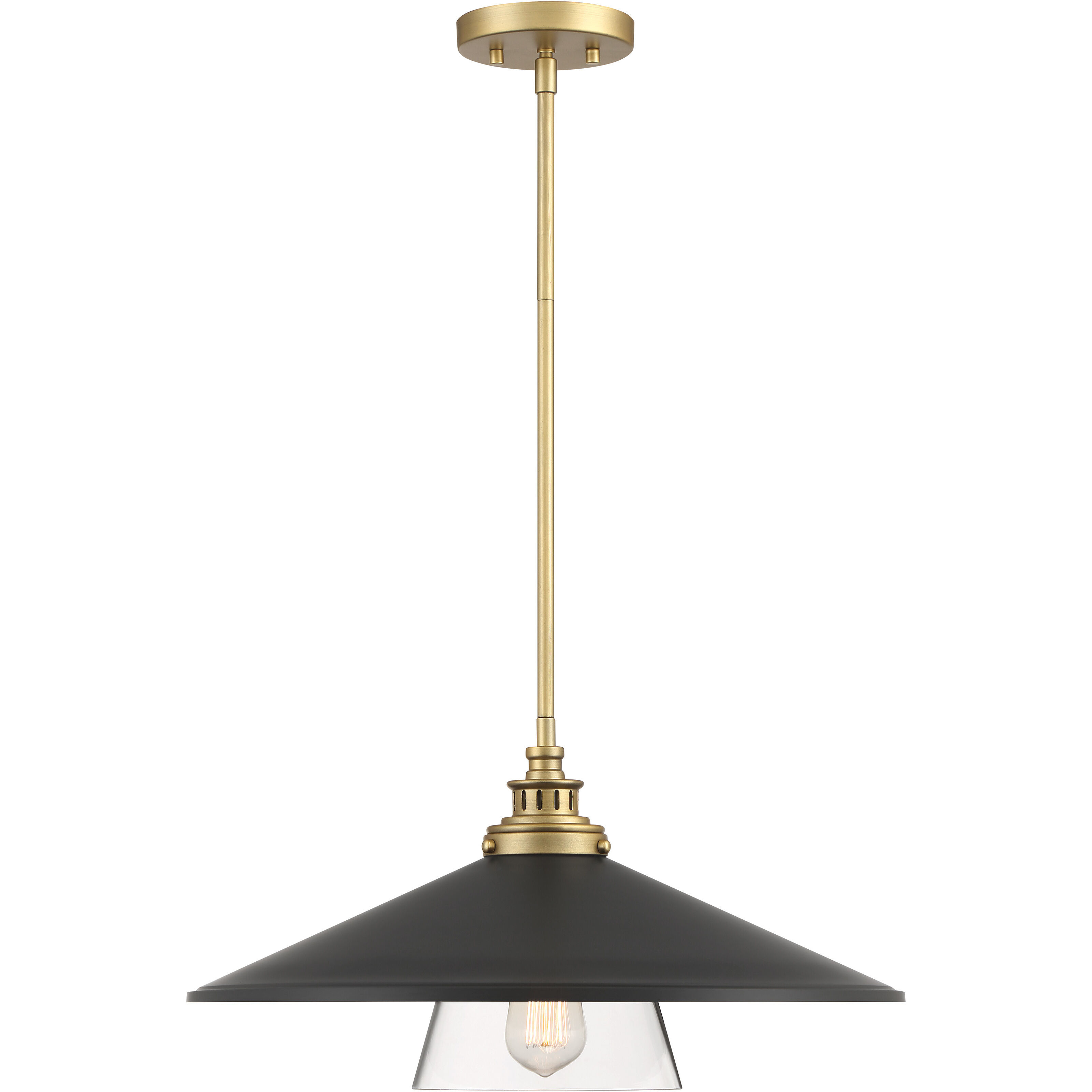 Segan 1 Light 20 inch Coal & Soft Brass (Painted) Pendant Ceiling Light, Outdoor