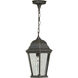 Straight Glass 1 Light 9.50 inch Outdoor Pendant/Chandelier
