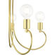 Bari 5 Light 25 inch Polished Brass Chandelier Ceiling Light