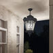 Tournai 8 Light 26 inch Textured Black Outdoor Hanging Pendant
