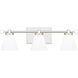 Daniels LED 21 inch Polished Nickel Bath Light Wall Light