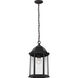 Sevier 1 Light 9.38 inch Black Outdoor Pendant