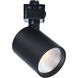 ColorQuick 120 Black LED Track Head - J-Type Ceiling Light