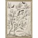 Florals Collection Neutral Framed Art