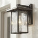 Capanna 1 Light 10 inch Olde Bronze Outdoor Wall, Small