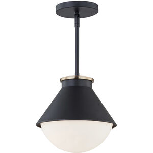 Fusion Collection 1 Light 10.00 inch Outdoor Pendant/Chandelier