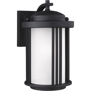 Crowell 1 Light 10 inch Black Outdoor Wall Lantern, Small