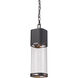 Lestat LED 5 inch Black Outdoor Chain Mount Ceiling Fixture