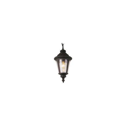 Commons 1 Light 8 inch Black Outdoor Hanging Lantern