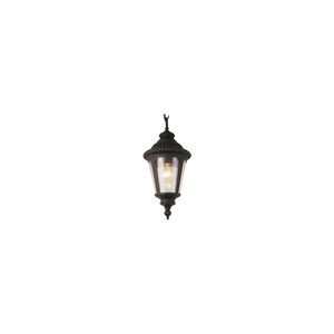 Signature 1 Light 8 inch Black Copper Outdoor Hanging Lantern