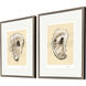 Sepia Oysters Beige and Brown and Gray and Multi Framed Art