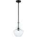 Fusion Collection 1 Light 9.5 inch Matte Black Pendant Ceiling Light, Harlow Family