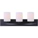 Hampton 3 Light 24 inch Black Vanity Light Wall Light
