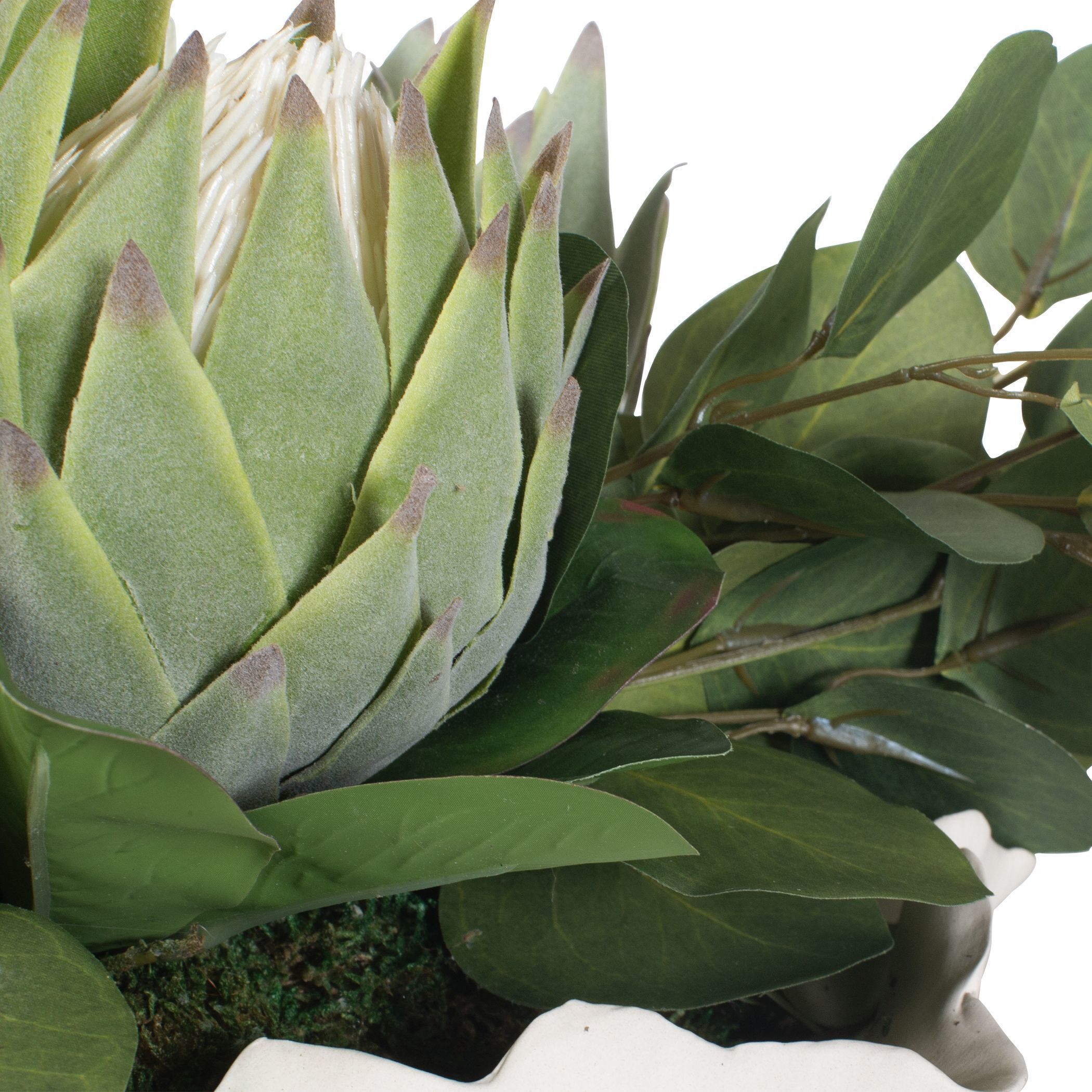 Protea Blooms Off-White and Green Bowl Centerpiece