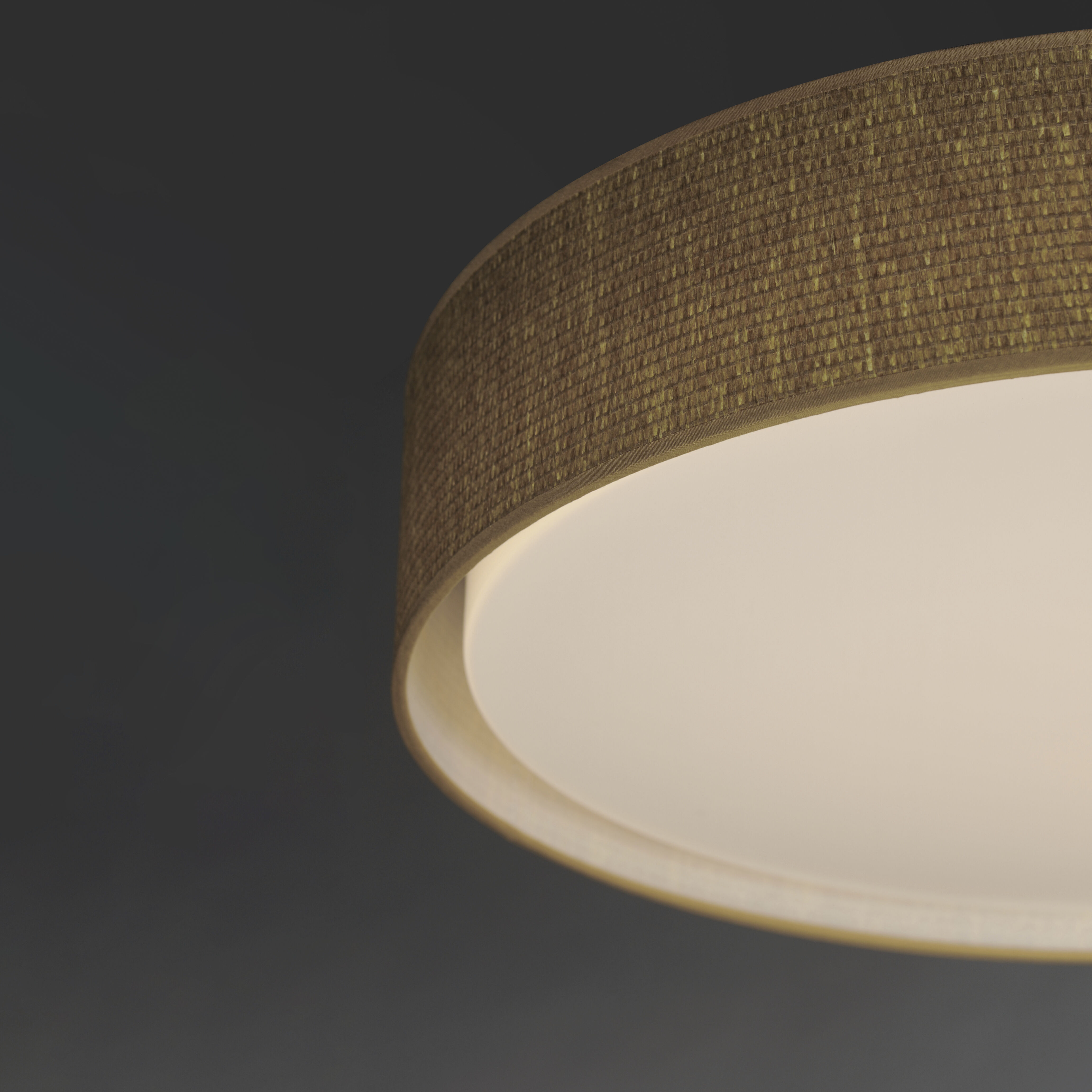 Prime LED 25 inch Flush Mount Ceiling Light