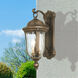 Havenwood 3 Light 22 inch Tavira Bronze And Alder Silver Outdoor Wall Mount, Great Outdoors 