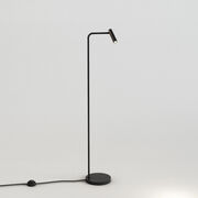 Floor Lamps