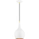 Andes 1 Light 8 inch Shiny White with Polished Brass Accents Mini Pendant Ceiling Light