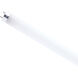 Lumos LED G13 Medium Bi Pin 11 watt 3500K LED T8