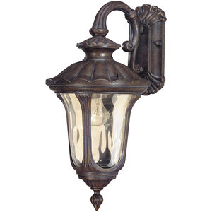 Beaumont 1 Light 19 inch Fruitwood and Amber Outdoor Wall Lantern