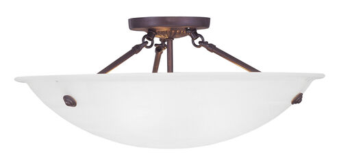 Oasis 3 Light 20 inch Bronze Semi-Flush Mount Ceiling Light