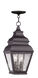 Exeter 2 Light 8 inch Bronze Outdoor Pendant Lantern