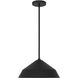 Nin LED 14 inch Sand Black Pendant Ceiling Light