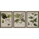 Plants Green and Brown and Beige and Pink Framed Art