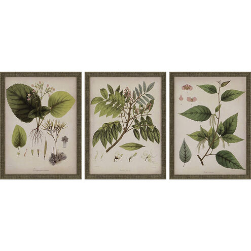 Plants Green and Brown and Beige and Pink Framed Art