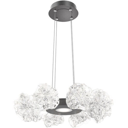 Blossom LED 23.9 inch Graphite Chandelier Ceiling Light in 2700K LED, Radial Ring