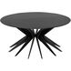 Spider 40 X 40 inch Matte Black Coffee Table